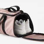 Сумка для фитнеса 20л коричневая Domyos 100