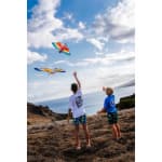 Воздушный змей детский Tribord MFK150 Oiseau