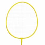 Набор для игры в бадминтон Perfly