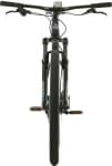 Велосипед горный 29" ALPINEBIKE ALPSTEIN-ALTMANN GRAPHITE COIL 2024