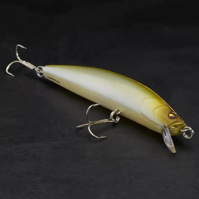 Воблер 10 см, 10,6 гр Caperlan Jerkbait Minnow MNWFP 100 F