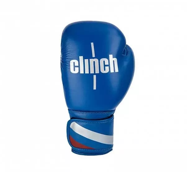 Боксерские перчатки синие Clinch 900