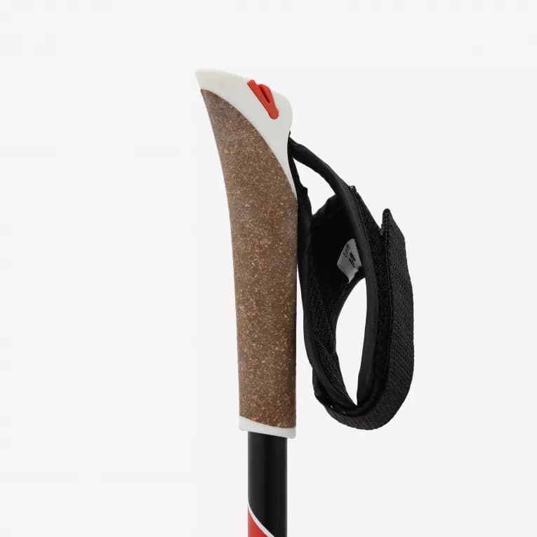 Палки для беговых лыж карбоновые синие Deway 700