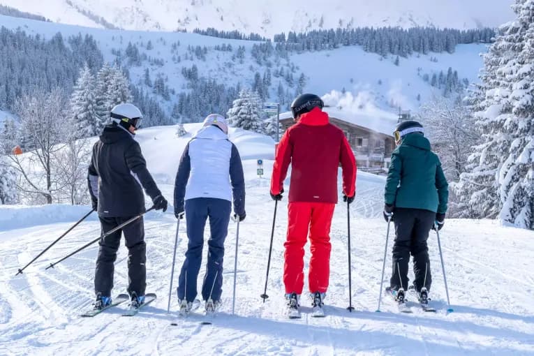 Шлем горнолыжный для взрослых чёрный Wedze PST 500