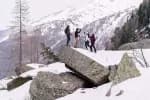 Снегоступы синие Quechua 100