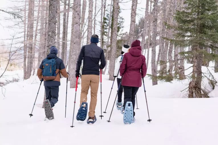 Снегоступы синие Quechua 100