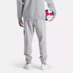 Штаны спортивные с микрофлисом серые Reebok RI BADGE