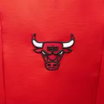 Баскетбольный рюкзак 25л красный Tarmak 500 NBA Chicago Bulls